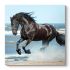 Πίνακας σε καμβά "Black Horse" Megapap ψηφιακής εκτύπωσης 60x60x3εκ.