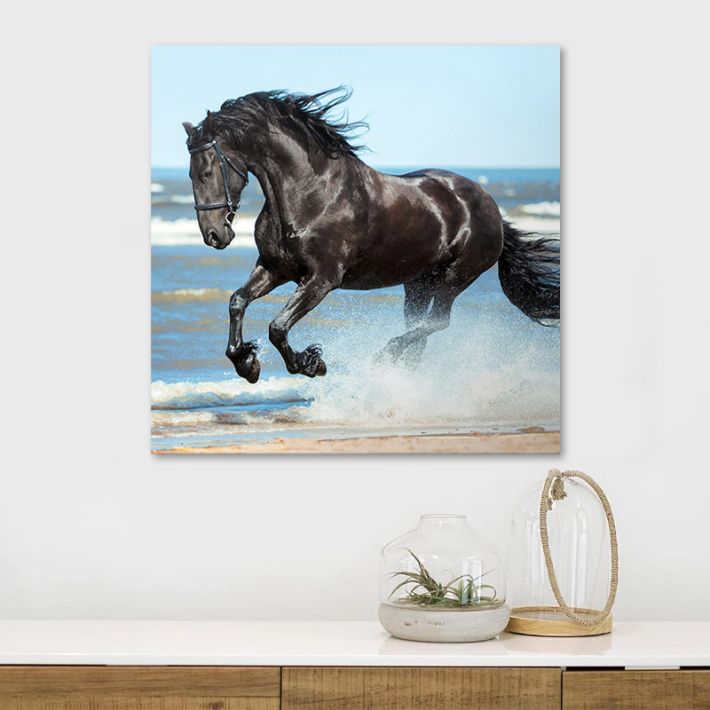 Πίνακας σε καμβά "Black Horse" Megapap ψηφιακής εκτύπωσης 60x60x3εκ.