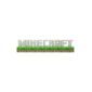 Paladone Παιδικό Διακοσμητικό Φωτιστικό Minecraft Πολύχρωμο 41.2x8.5cm PP8759MCF